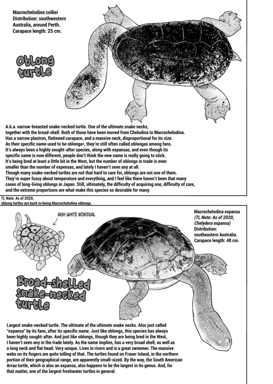 Reptile Secrets Chapter 102 page 13 - 
