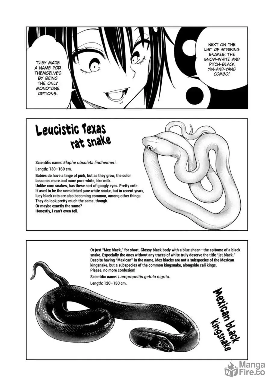 Reptile Secrets Chapter 103 page 12 - 