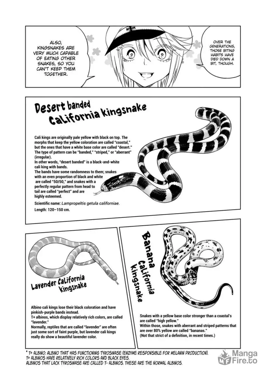 Reptile Secrets Chapter 103 page 6 - 