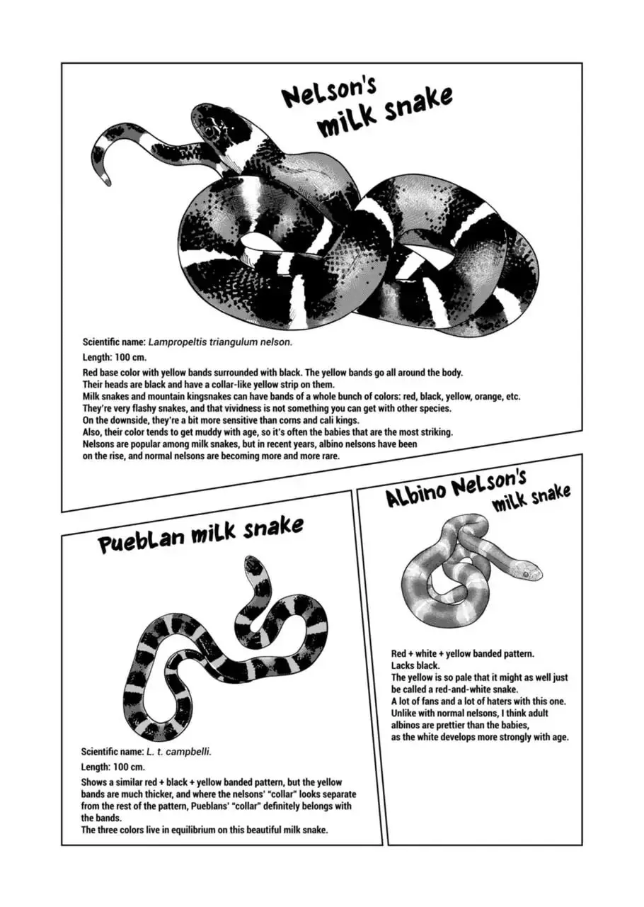 Reptile Secrets Chapter 103 page 8 - 
