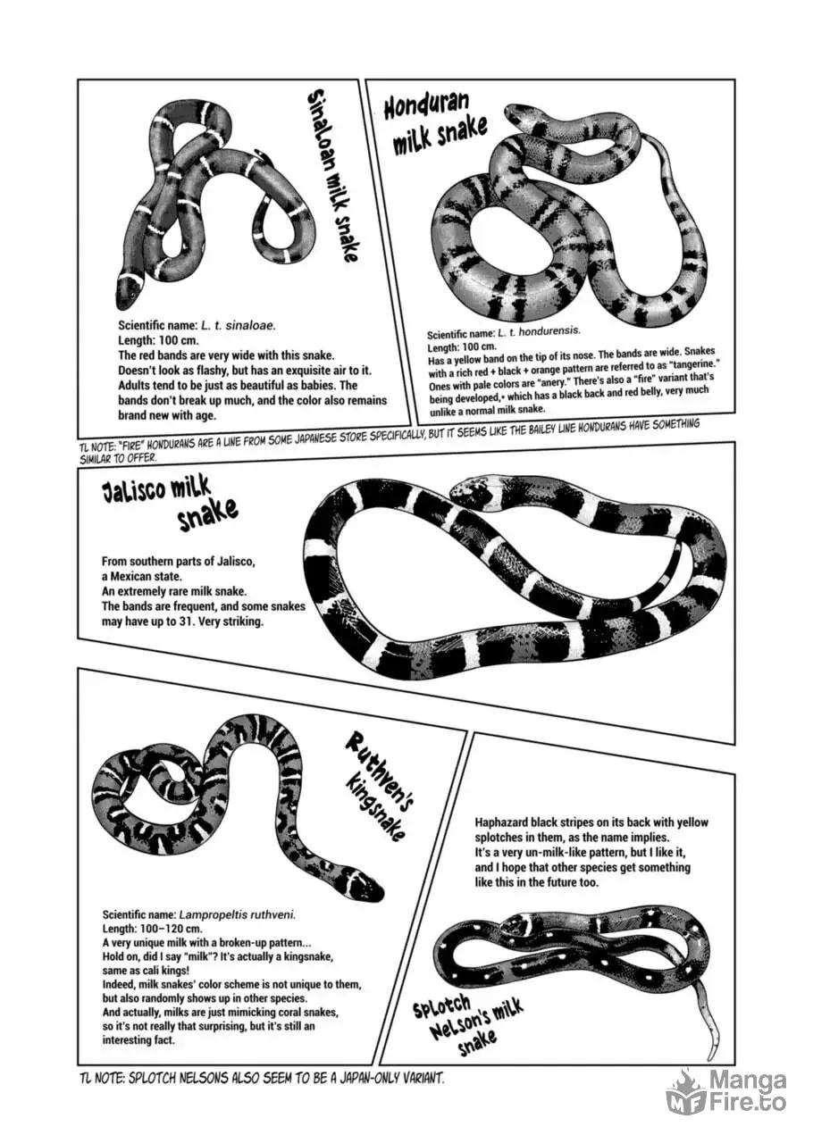 Reptile Secrets Chapter 103 page 9 - 