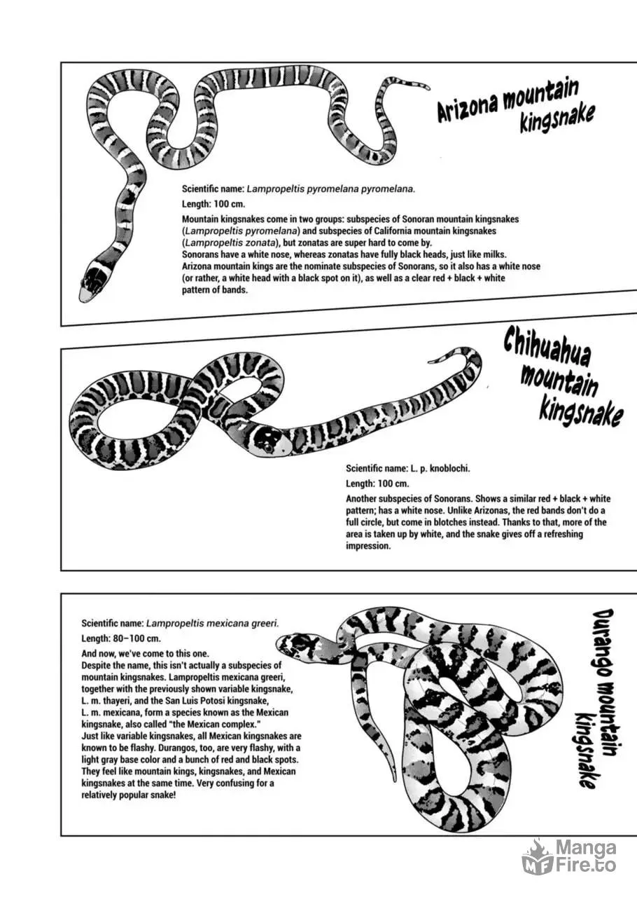 Reptile Secrets Chapter 103 page 10 - 