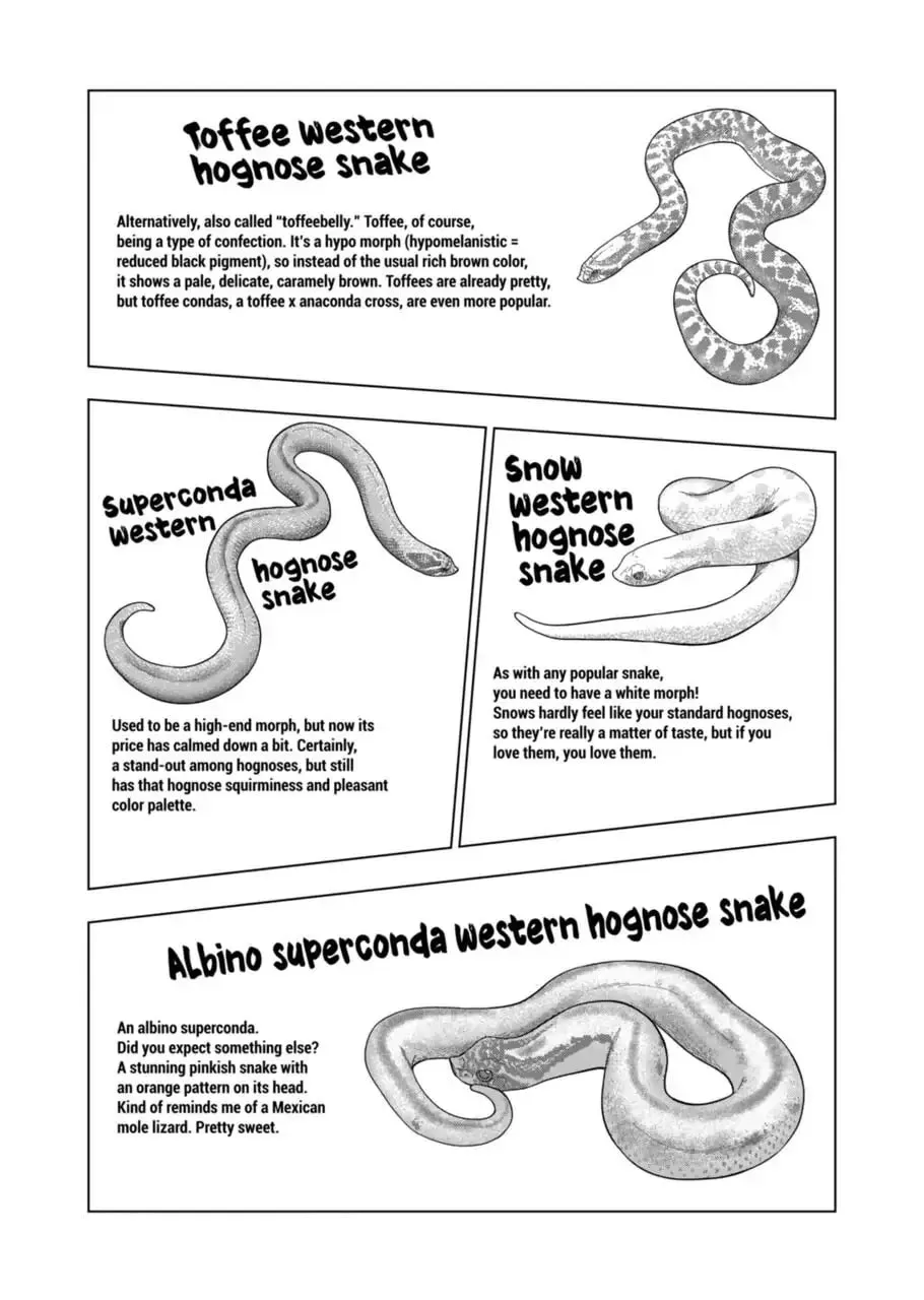 Reptile Secrets Chapter 104 page 2 - 