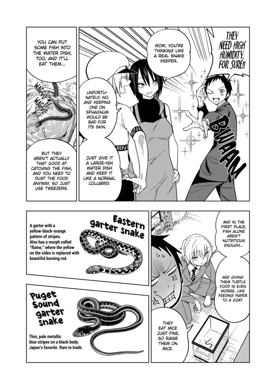 Reptile Secrets Chapter 104 page 11 - 