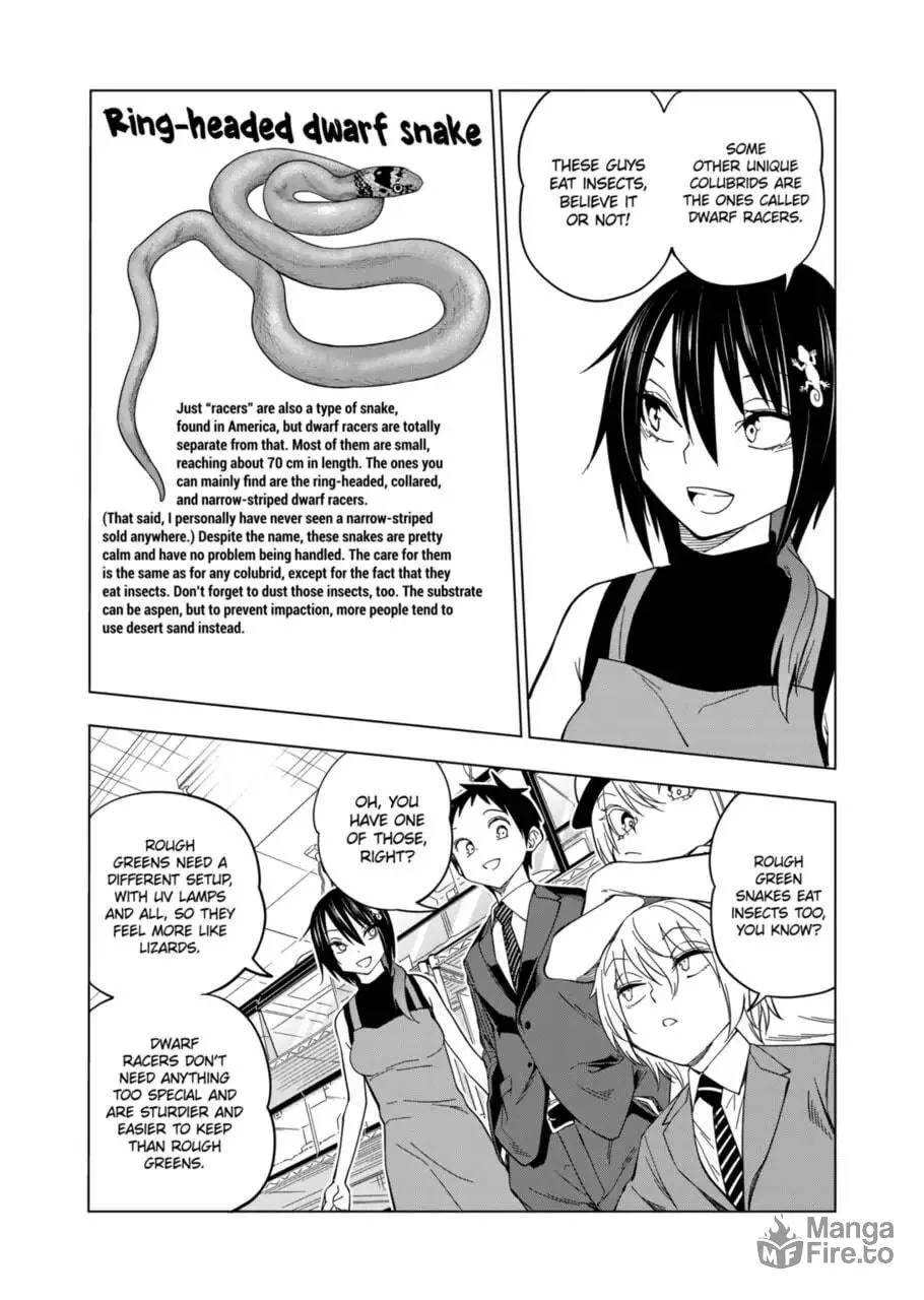 Reptile Secrets Chapter 104 page 12 - 