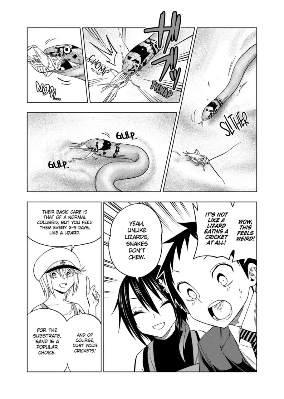 Reptile Secrets Chapter 104 page 13 - 