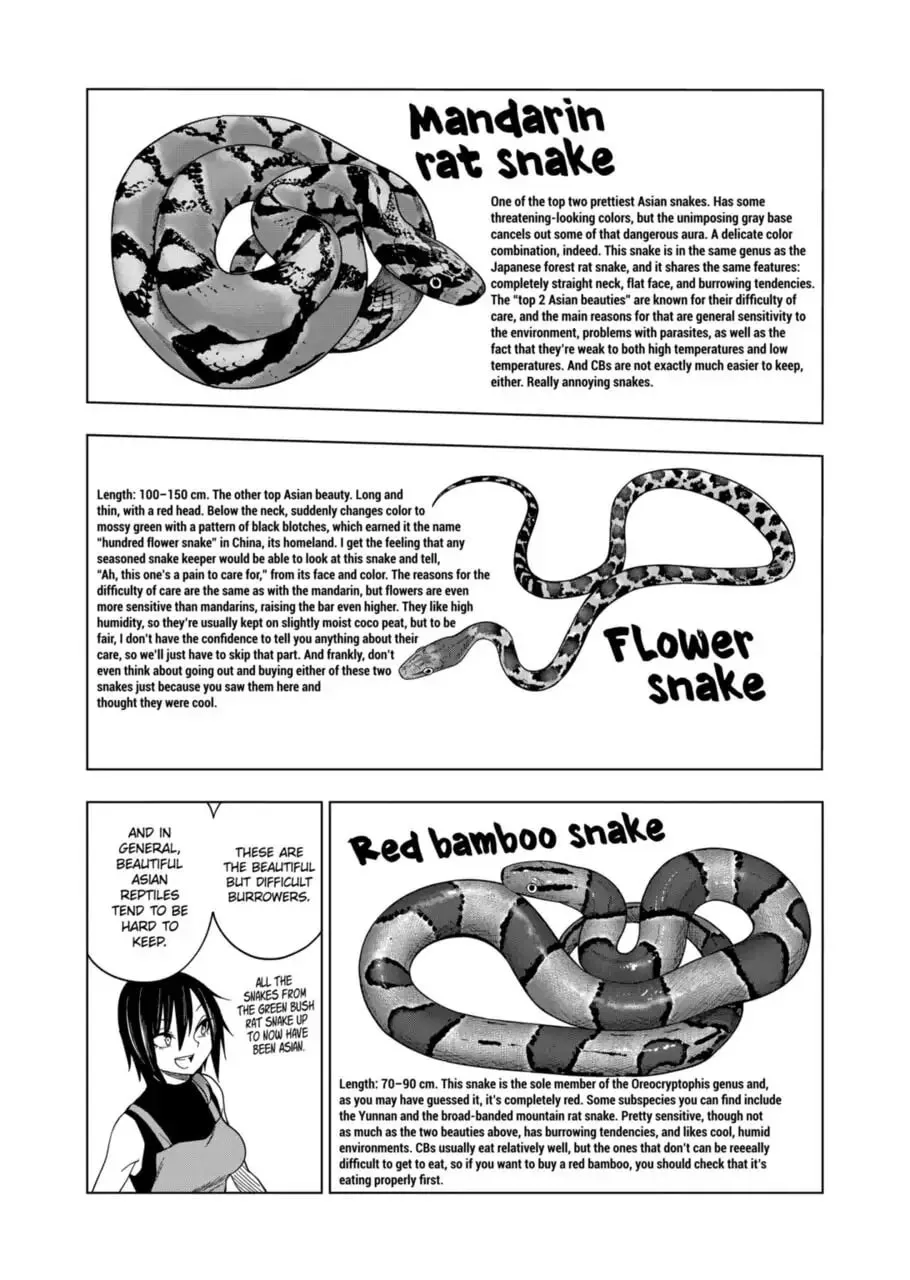 Reptile Secrets Chapter 104 page 16 - 