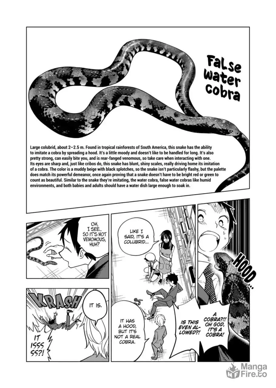 Reptile Secrets Chapter 104 page 18 - 