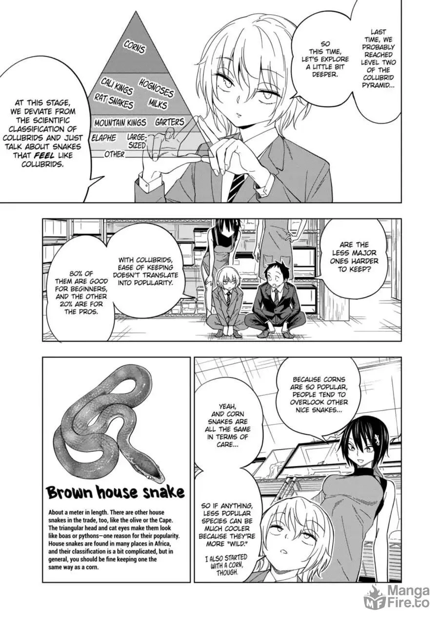 Reptile Secrets Chapter 104 page 5 - 