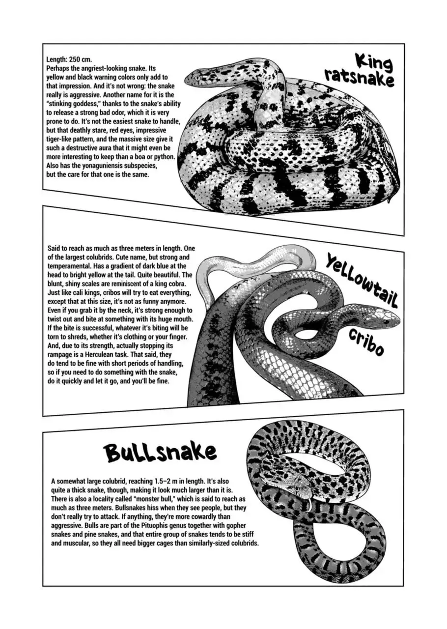 Reptile Secrets Chapter 104 page 7 - 