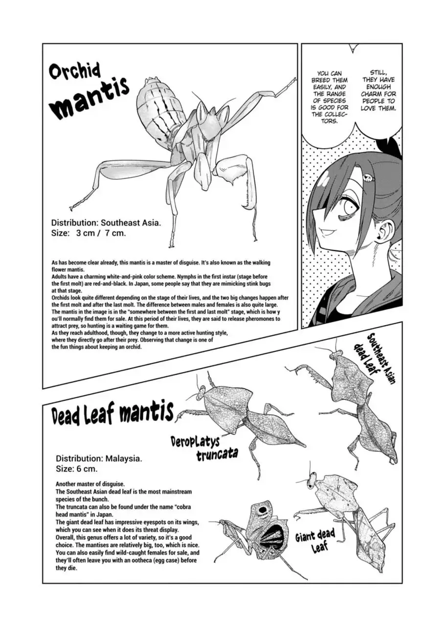 Reptile Secrets Chapter 107 page 11 - 