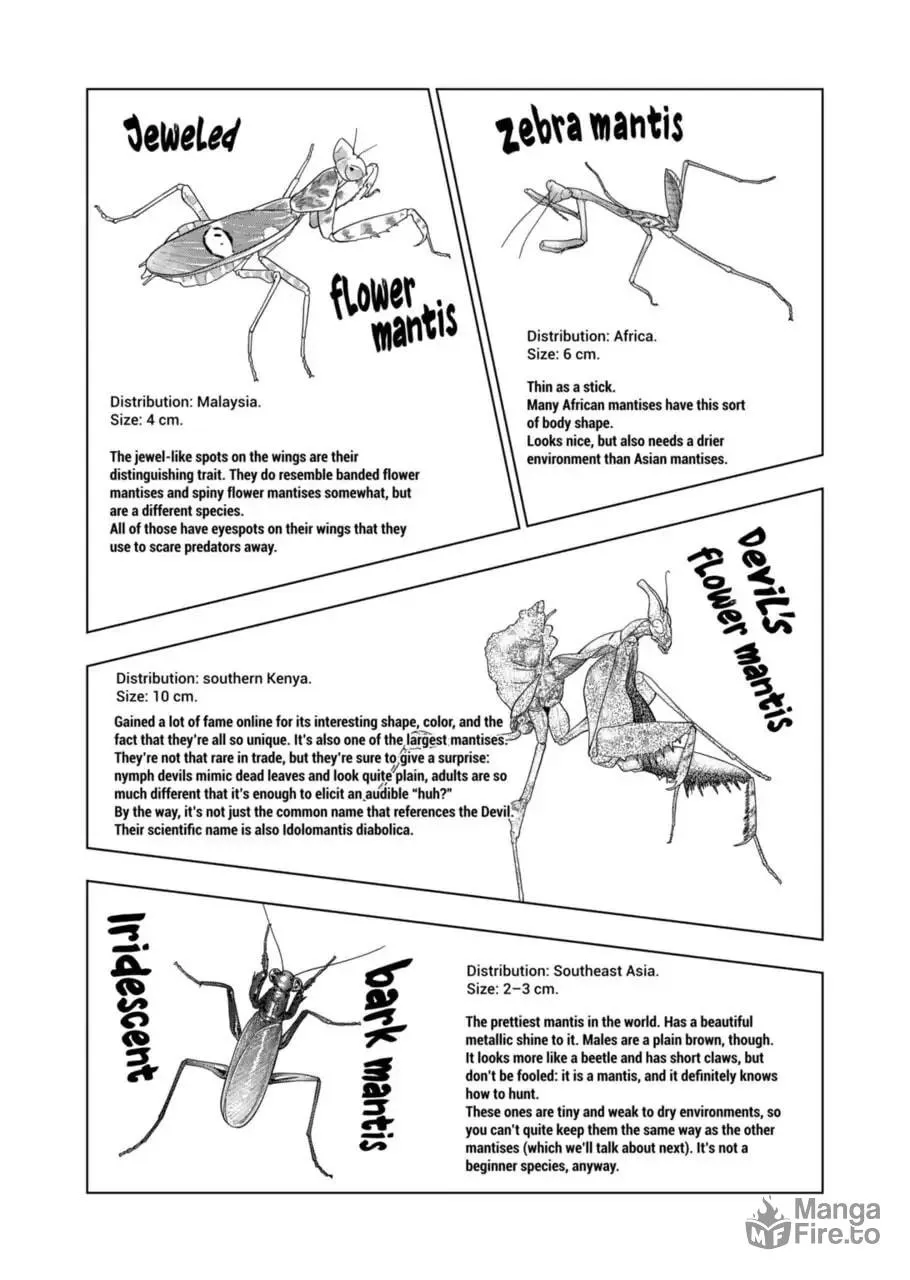 Reptile Secrets Chapter 107 page 12 - 