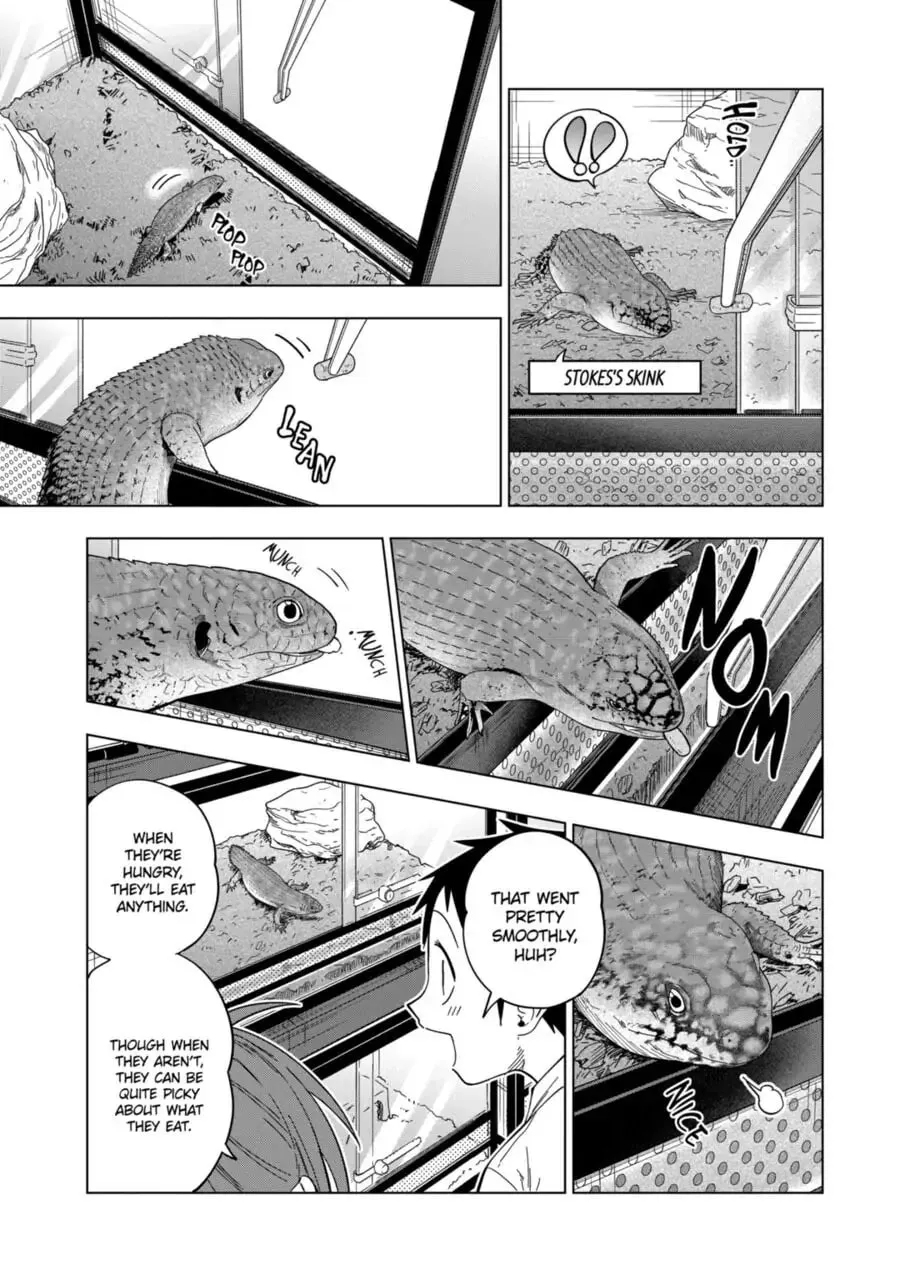 Reptile Secrets Chapter 108 page 11 - 