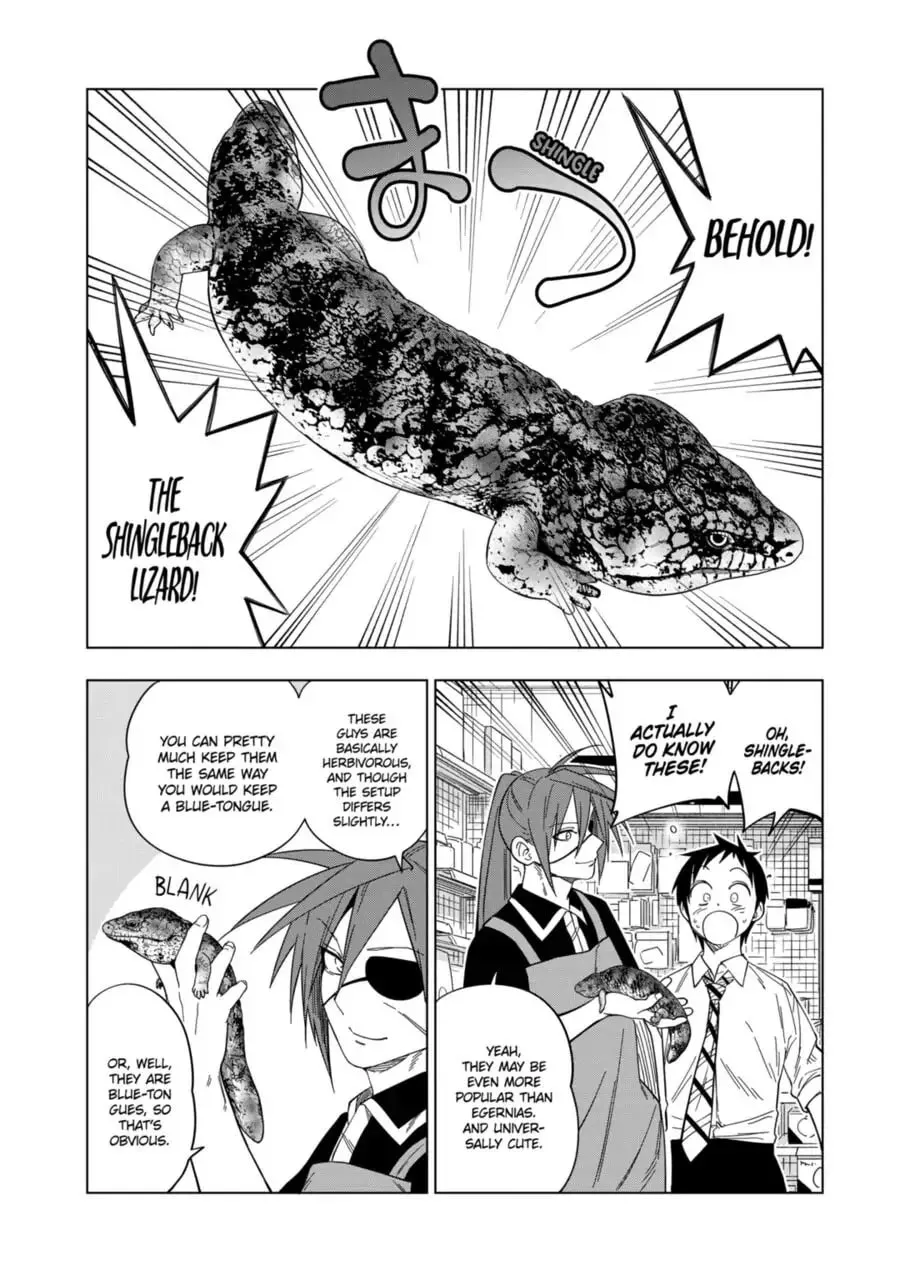 Reptile Secrets Chapter 108 page 13 - 