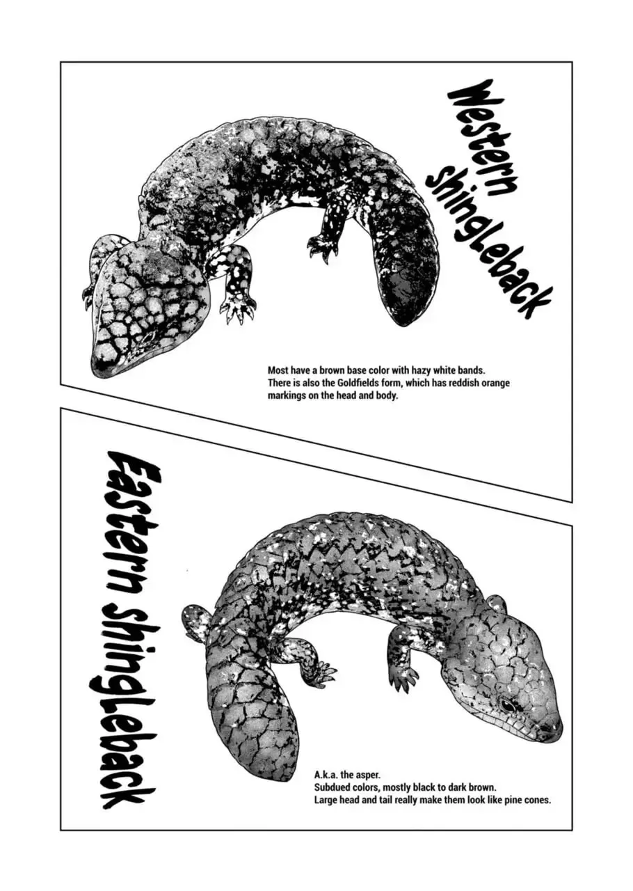 Reptile Secrets Chapter 108 page 16 - 