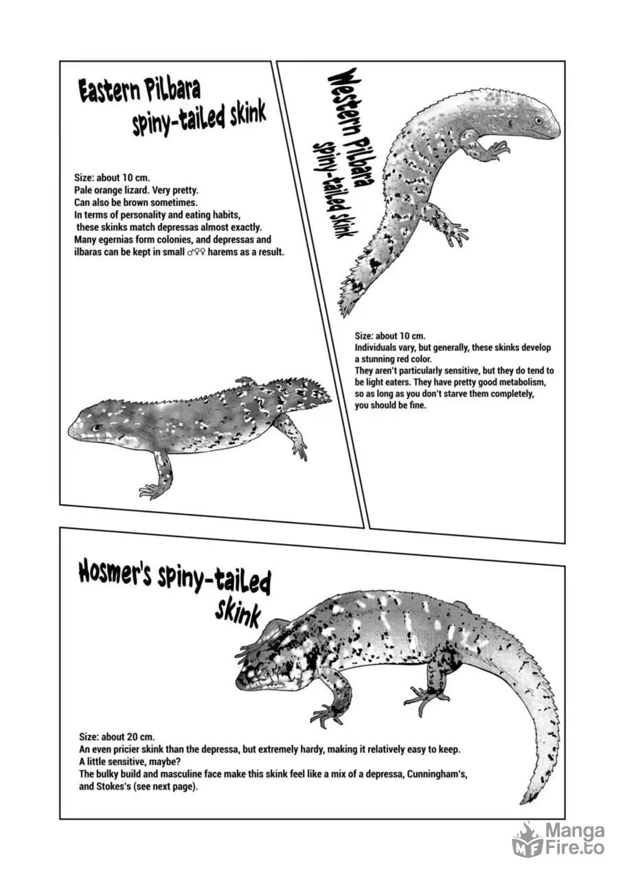 Reptile Secrets Chapter 108 page 5 - 