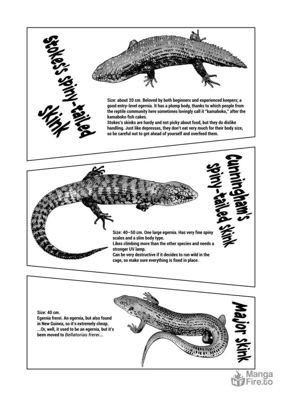 Reptile Secrets Chapter 108 page 6 - 