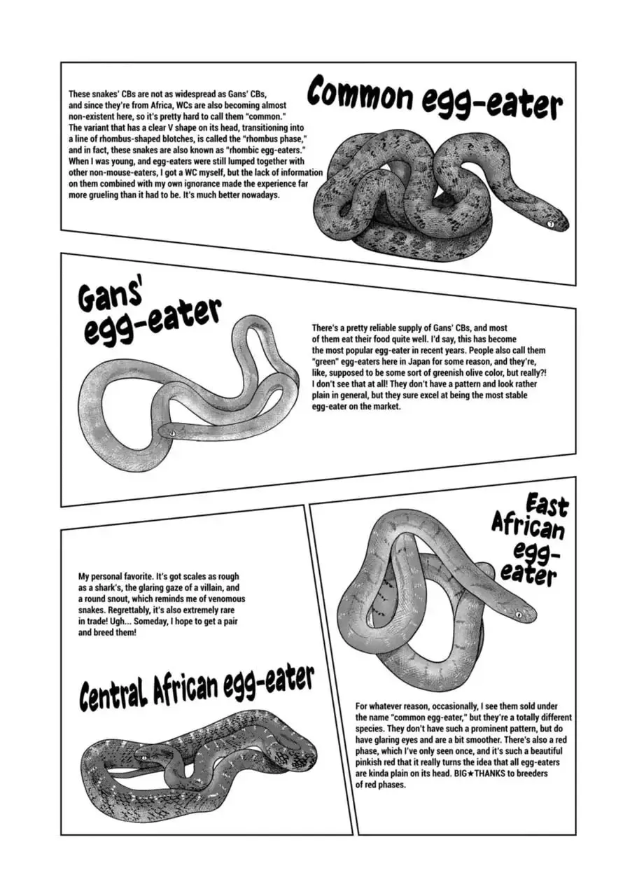 Reptile Secrets Chapter 109 page 16 - 