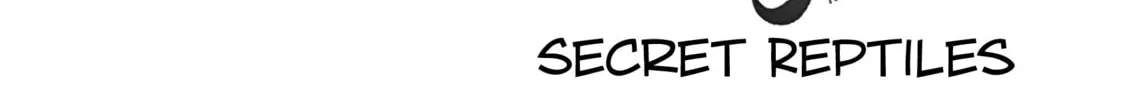 Reptile Secrets Chapter 11 page 3 - 