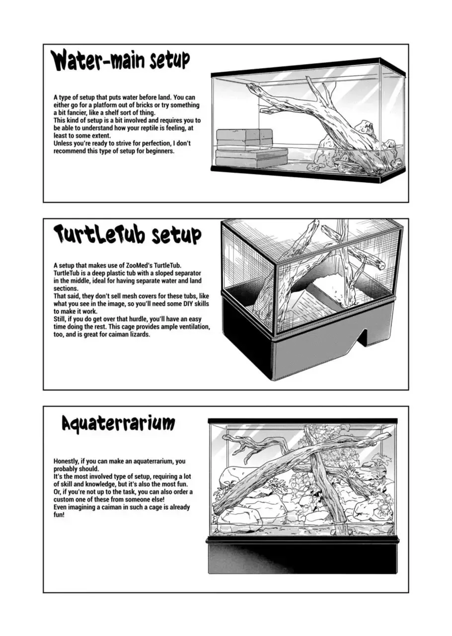 Reptile Secrets Chapter 110 page 11 - 