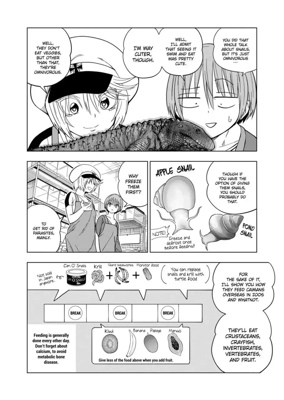 Reptile Secrets Chapter 110 page 14 - 