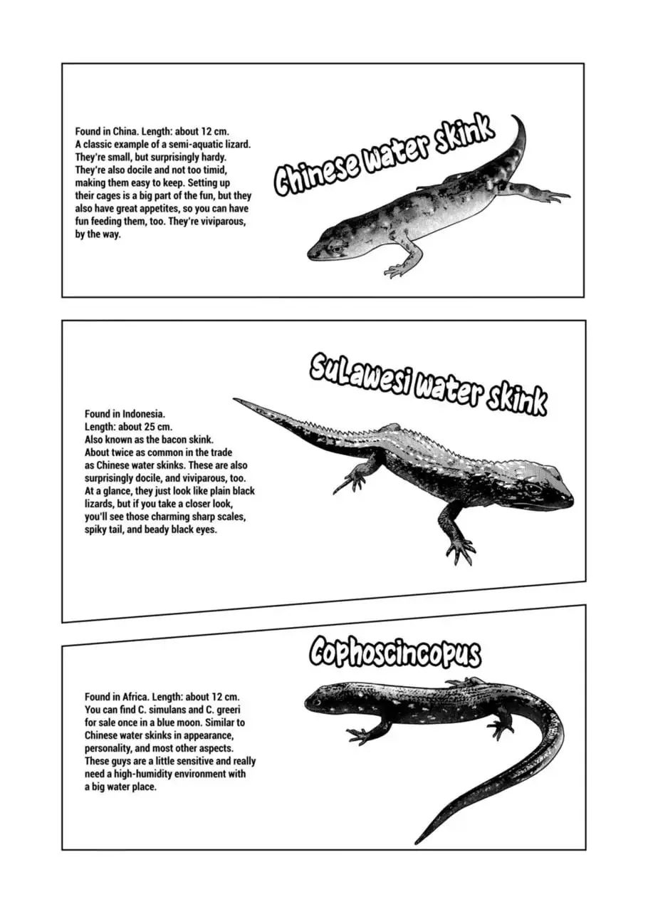 Reptile Secrets Chapter 111 page 8 - 