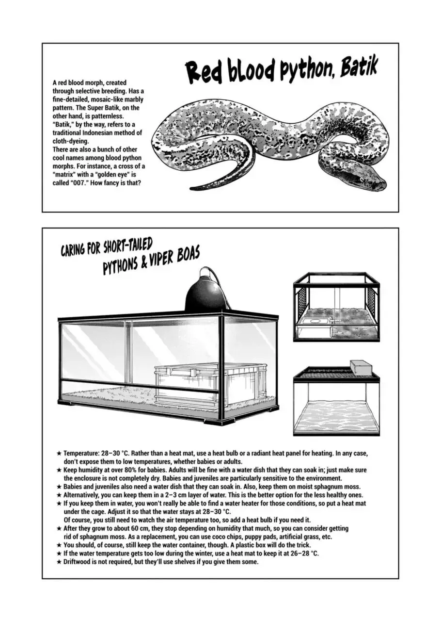 Reptile Secrets Chapter 112 page 11 - 