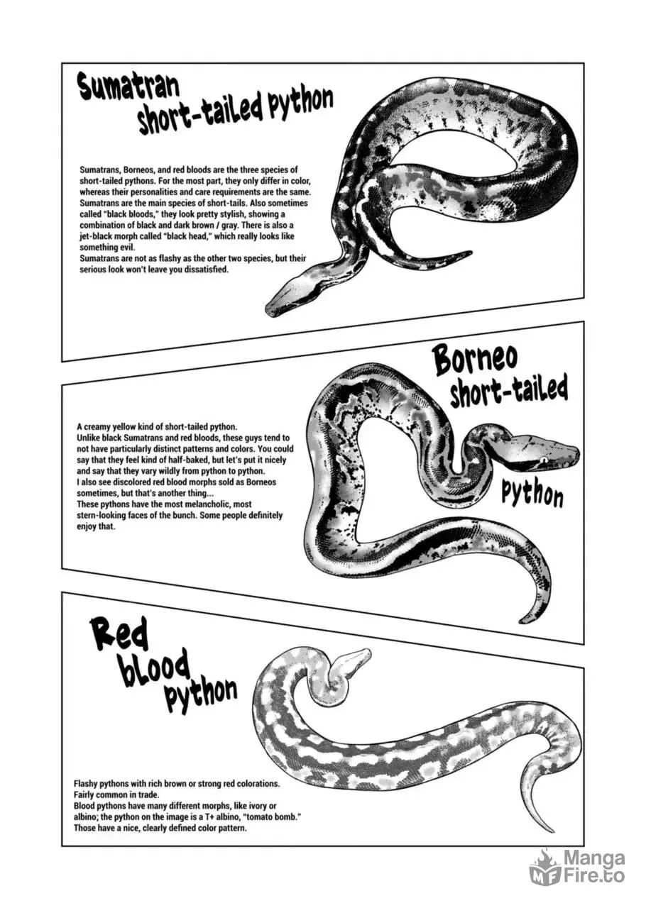 Reptile Secrets Chapter 112 page 10 - 