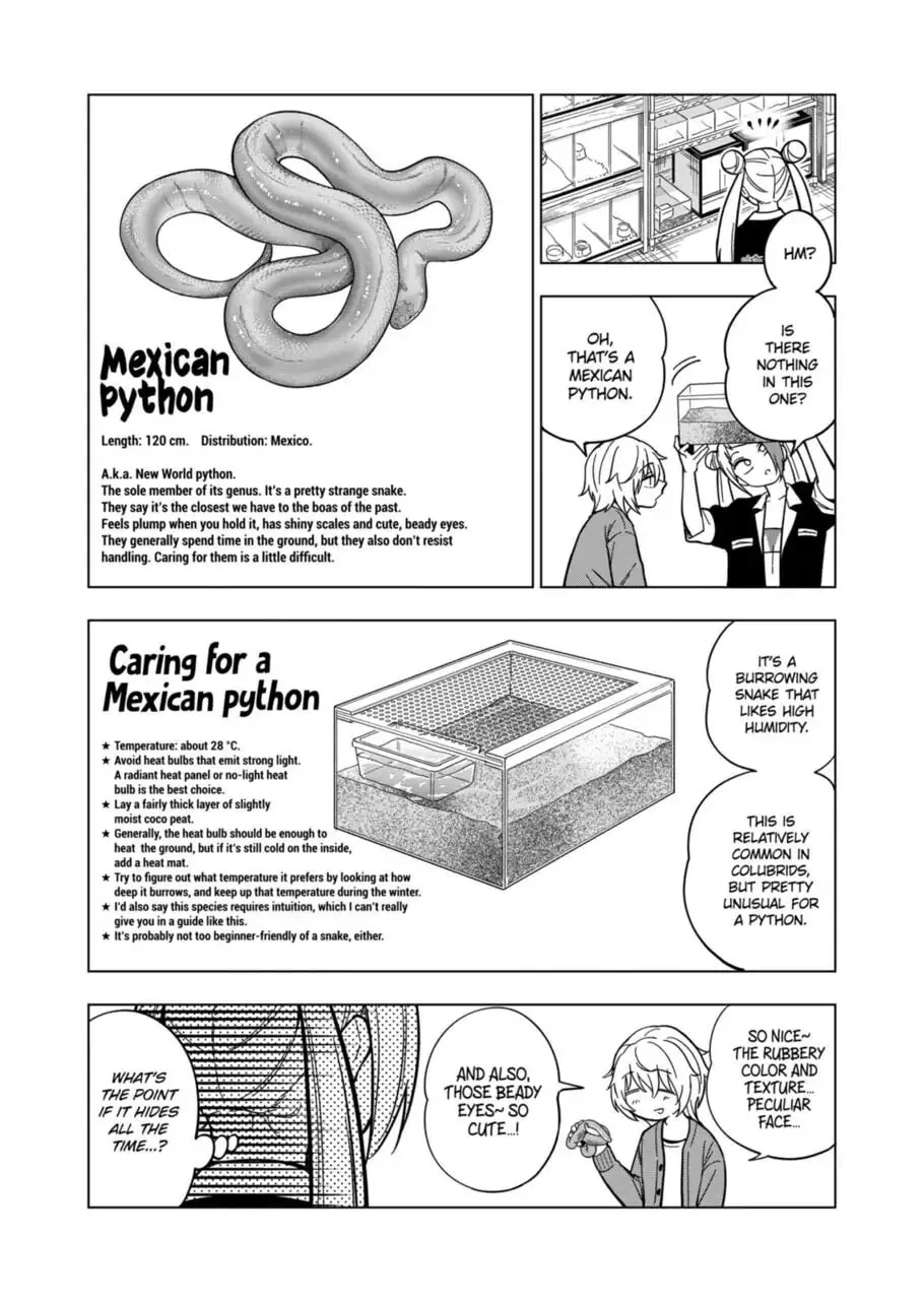 Reptile Secrets Chapter 113 page 13 - 
