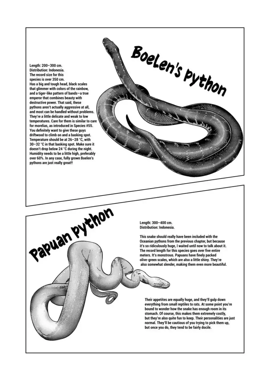 Reptile Secrets Chapter 113 page 16 - 