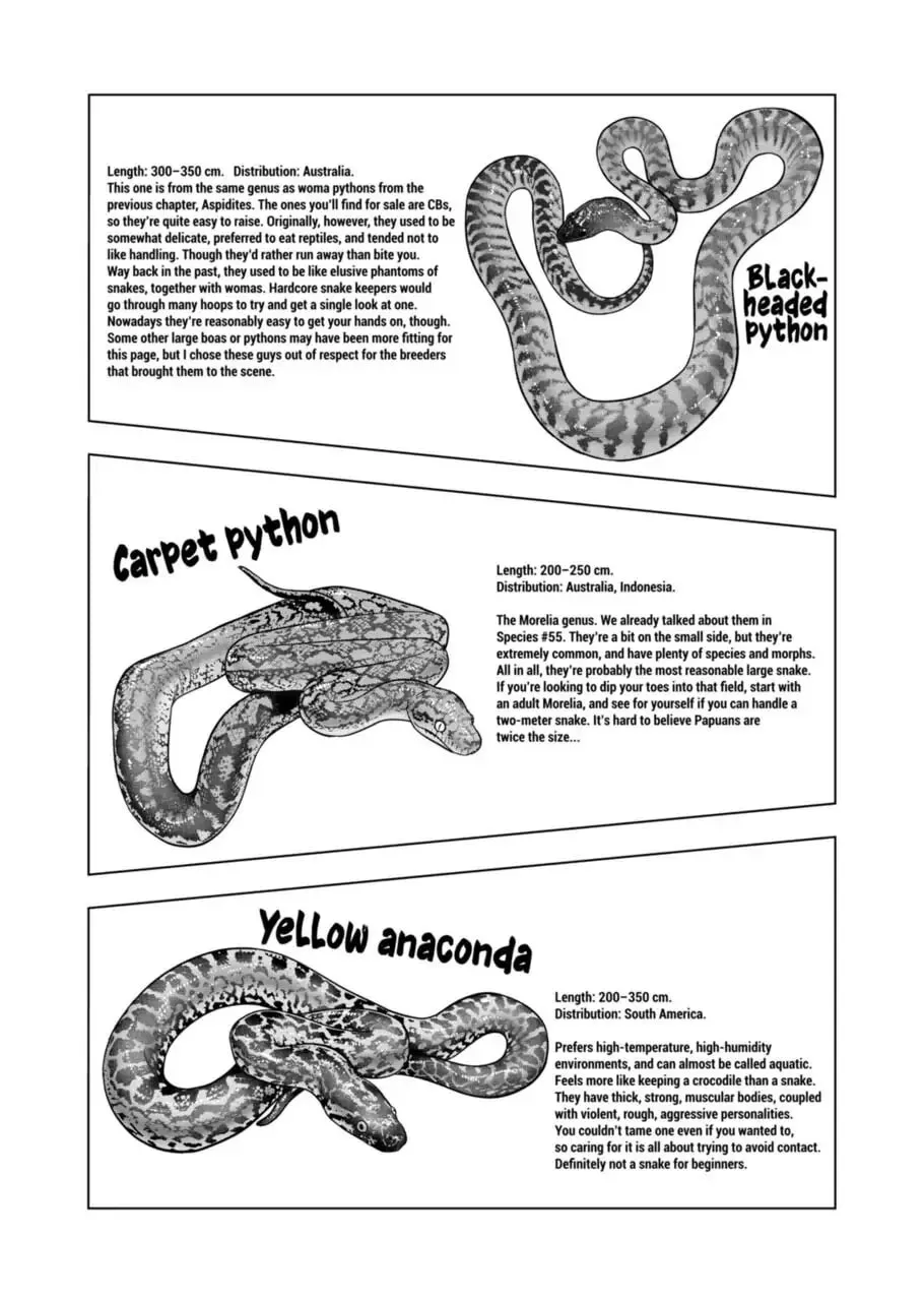 Reptile Secrets Chapter 113 page 17 - 
