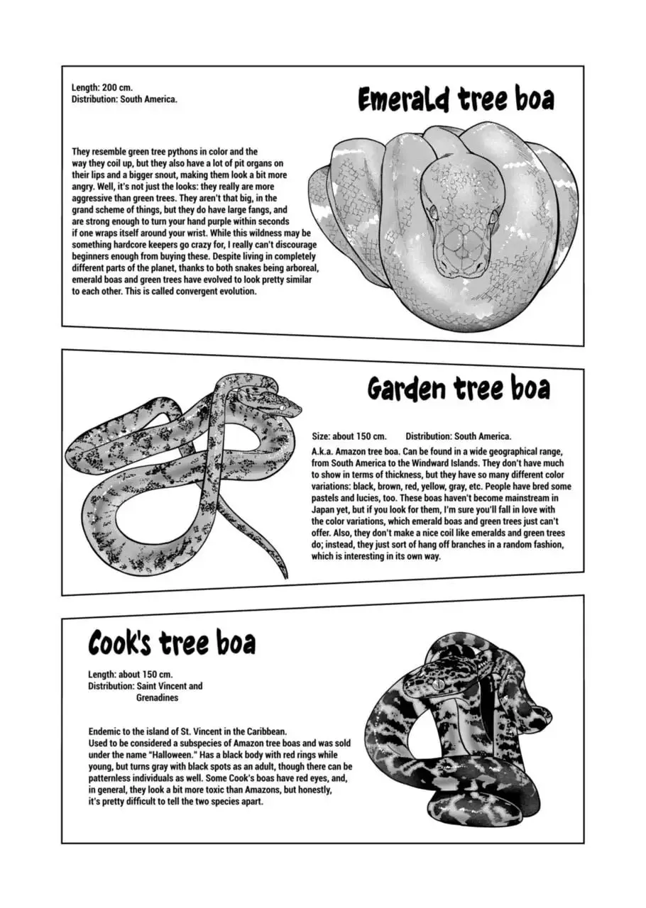 Reptile Secrets Chapter 113 page 4 - 