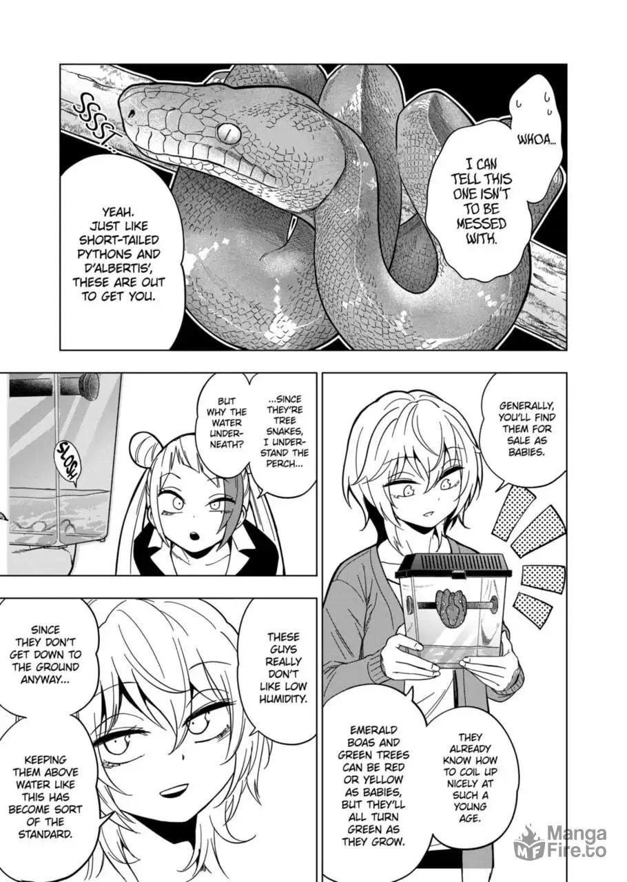 Reptile Secrets Chapter 113 page 5 - 