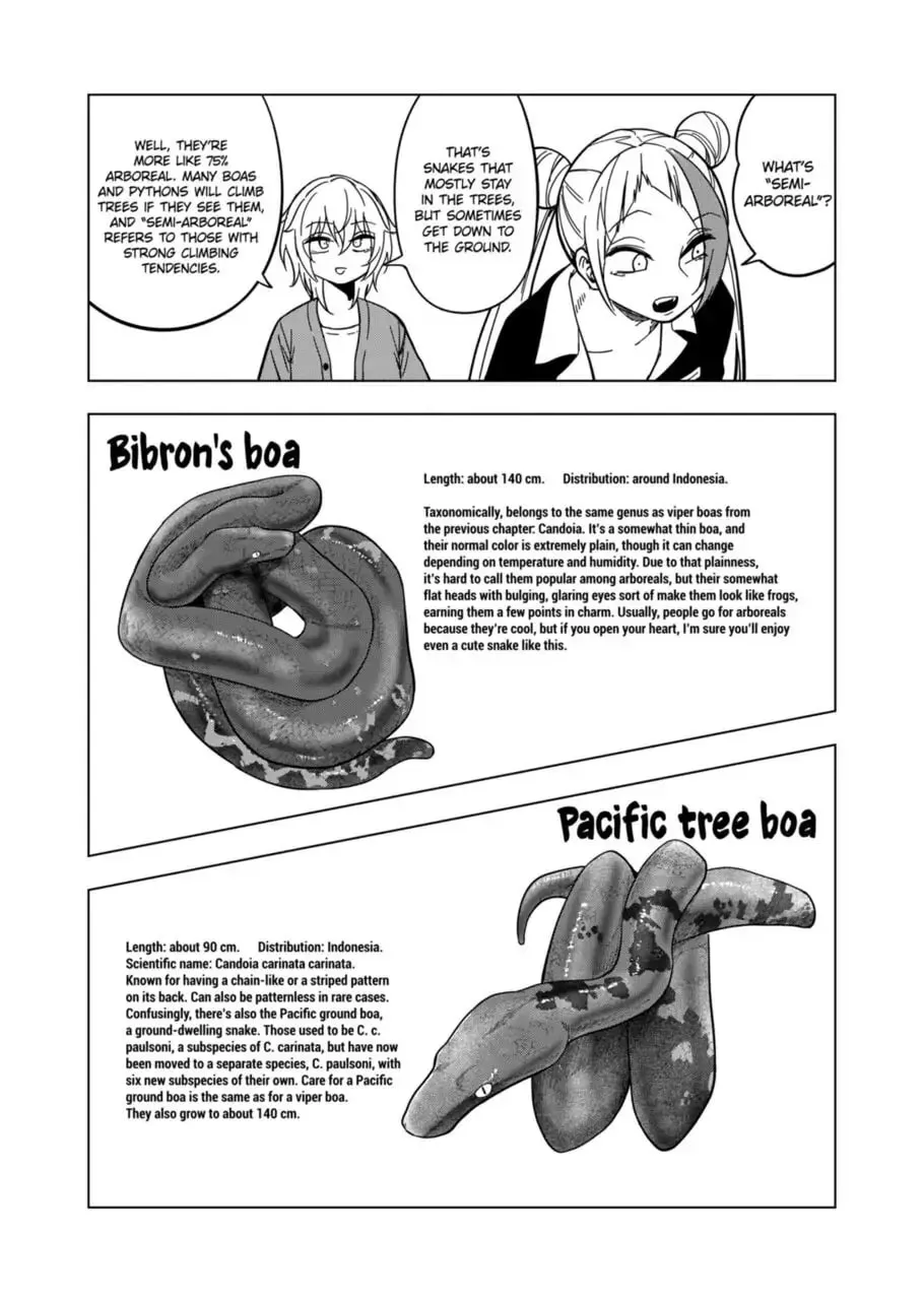 Reptile Secrets Chapter 113 page 7 - 