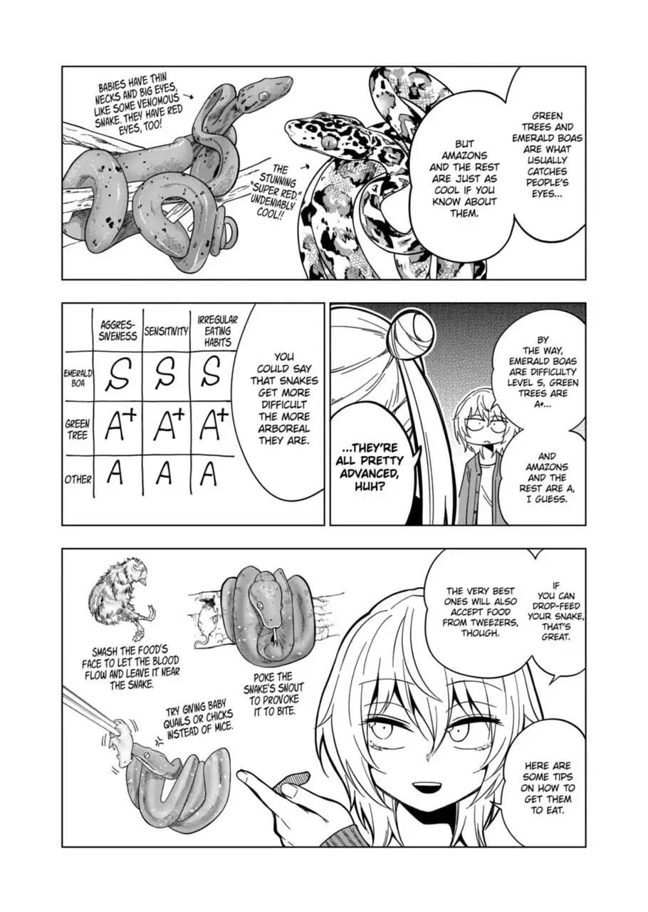 Reptile Secrets Chapter 113 page 8 - 