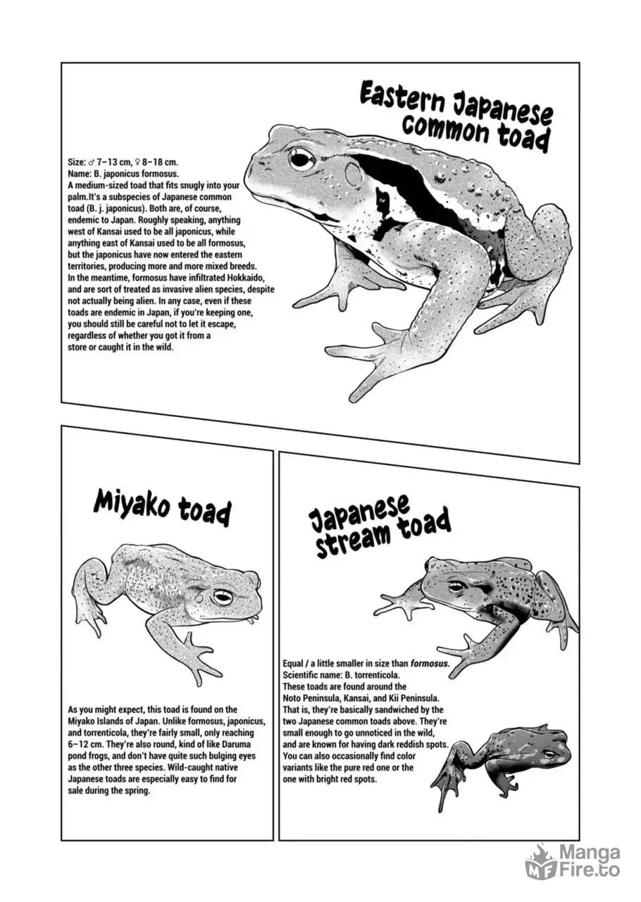 Reptile Secrets Chapter 115 page 12 - 