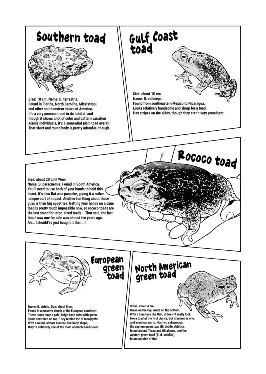 Reptile Secrets Chapter 115 page 13 - 