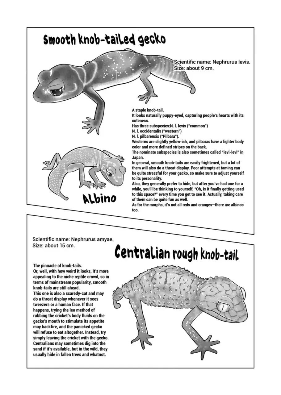 Reptile Secrets Chapter 116 page 14 - 
