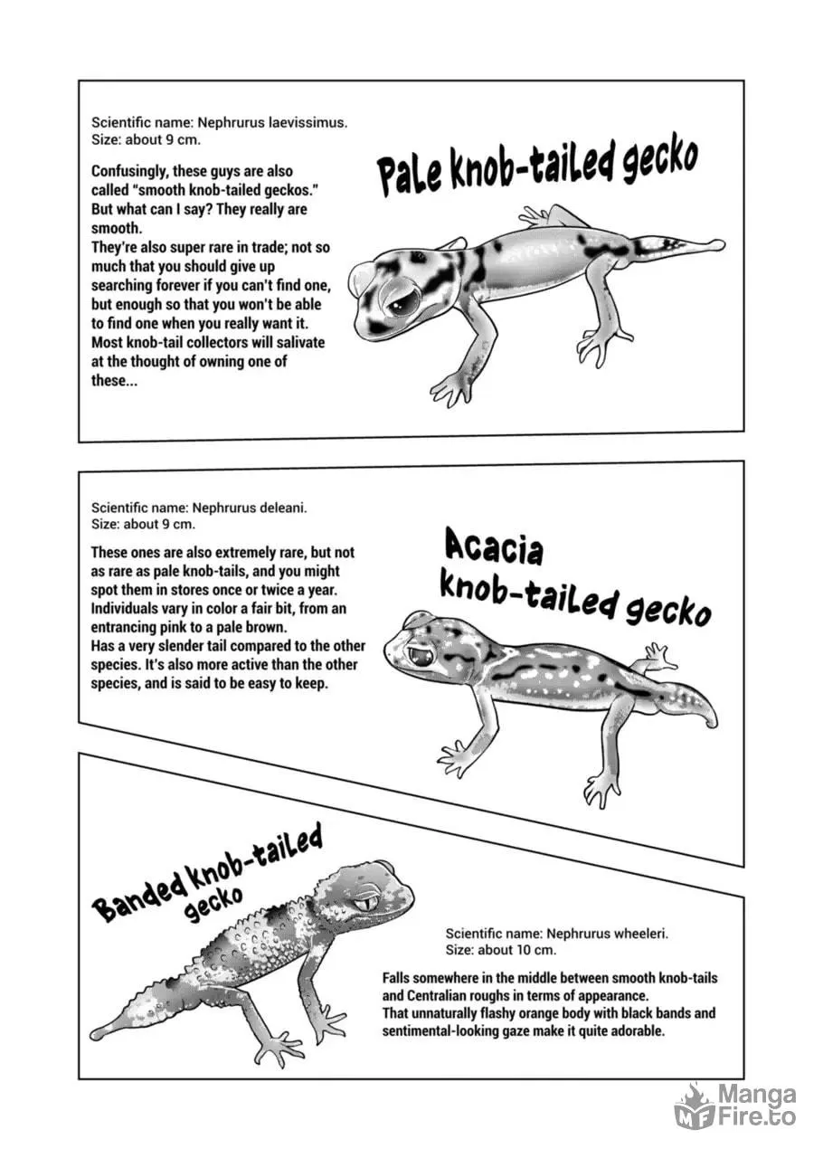 Reptile Secrets Chapter 116 page 15 - 