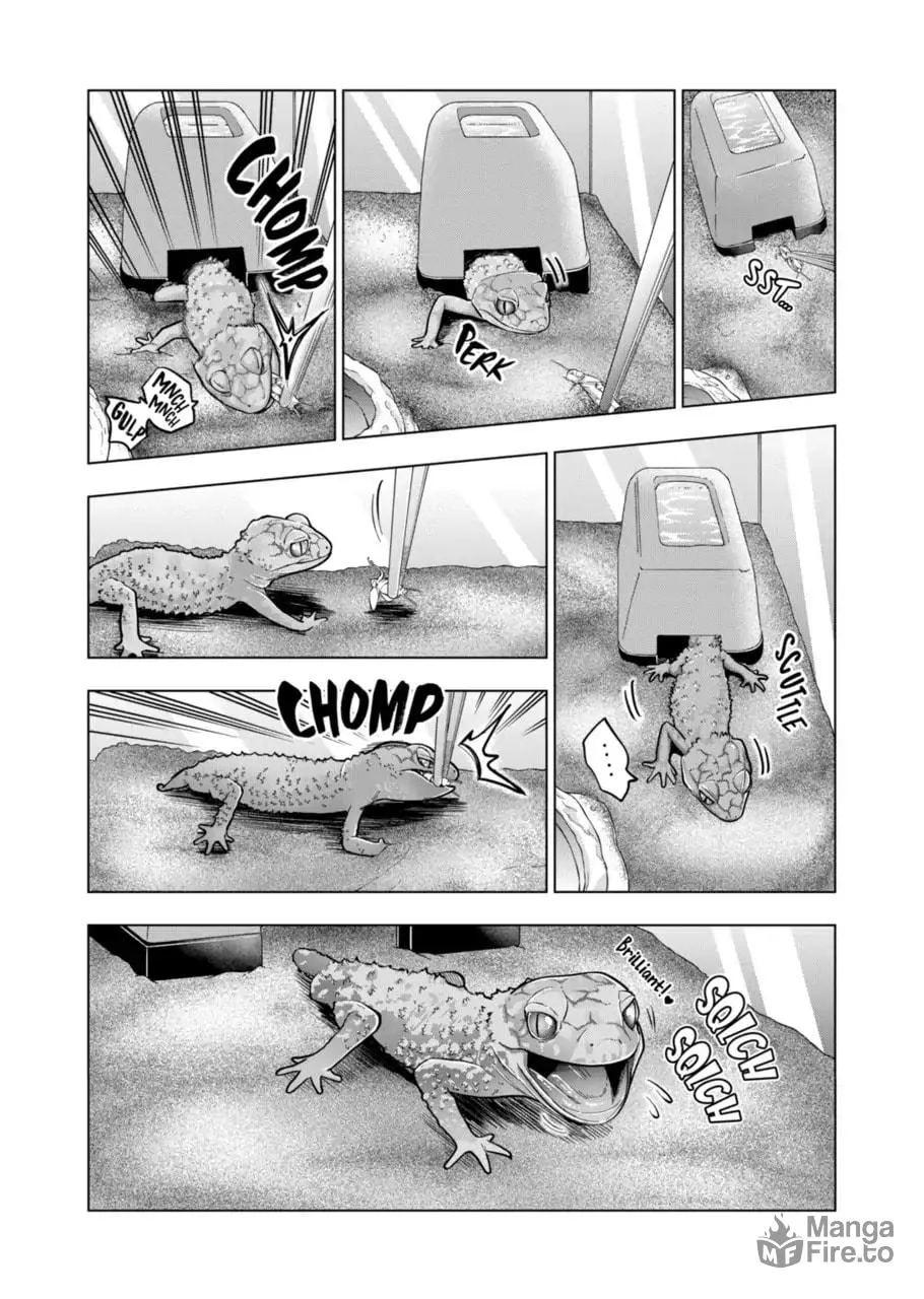 Reptile Secrets Chapter 116 page 5 - 