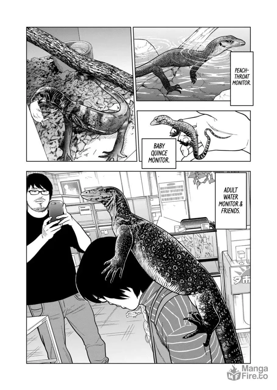 Reptile Secrets Chapter 117 page 12 - 