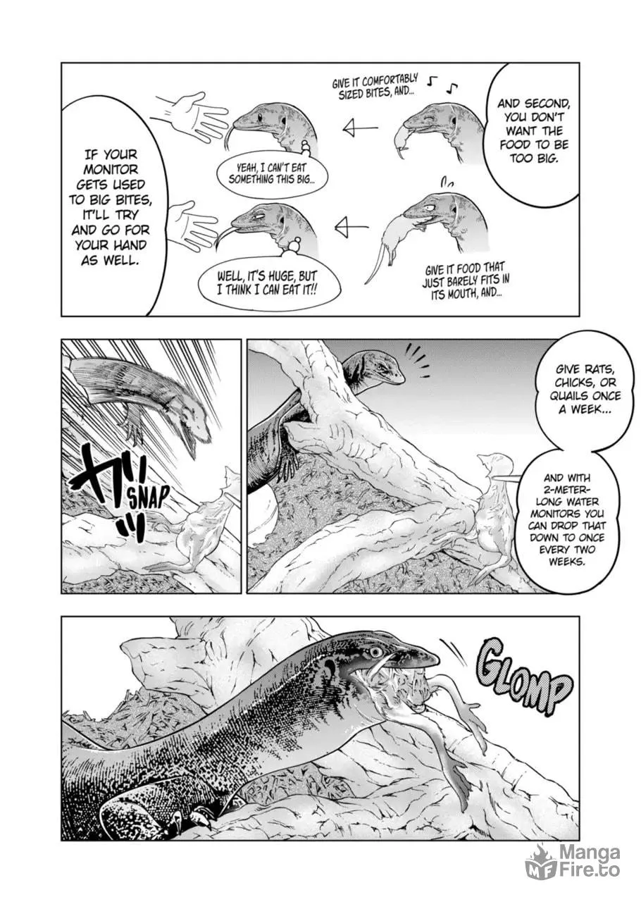 Reptile Secrets Chapter 117 page 20 - 