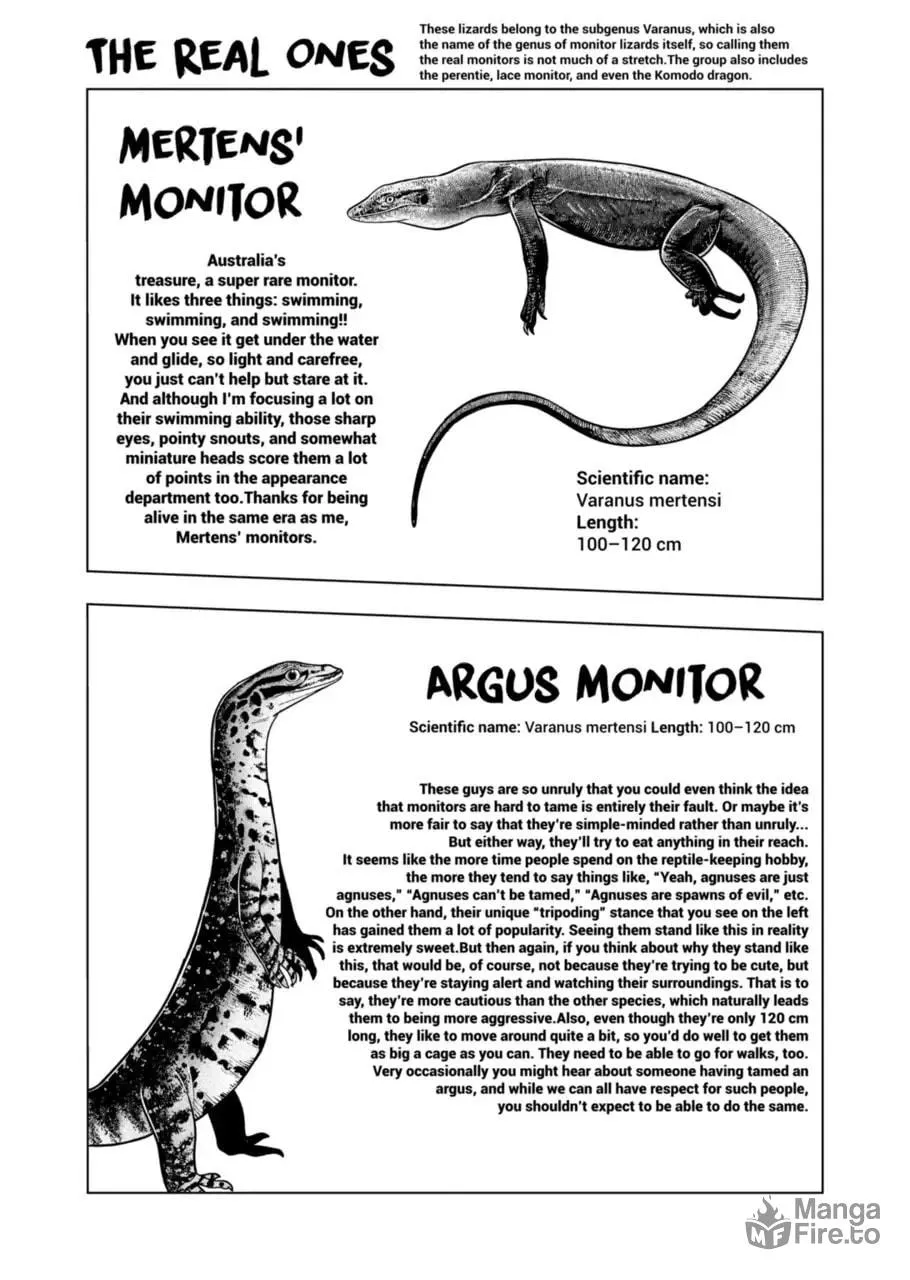 Reptile Secrets Chapter 117 page 9 - 