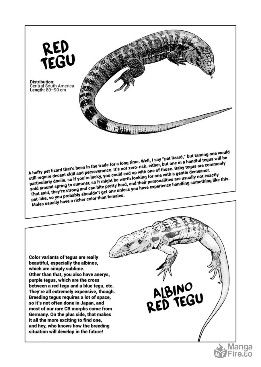 Reptile Secrets Chapter 118 page 6 - 