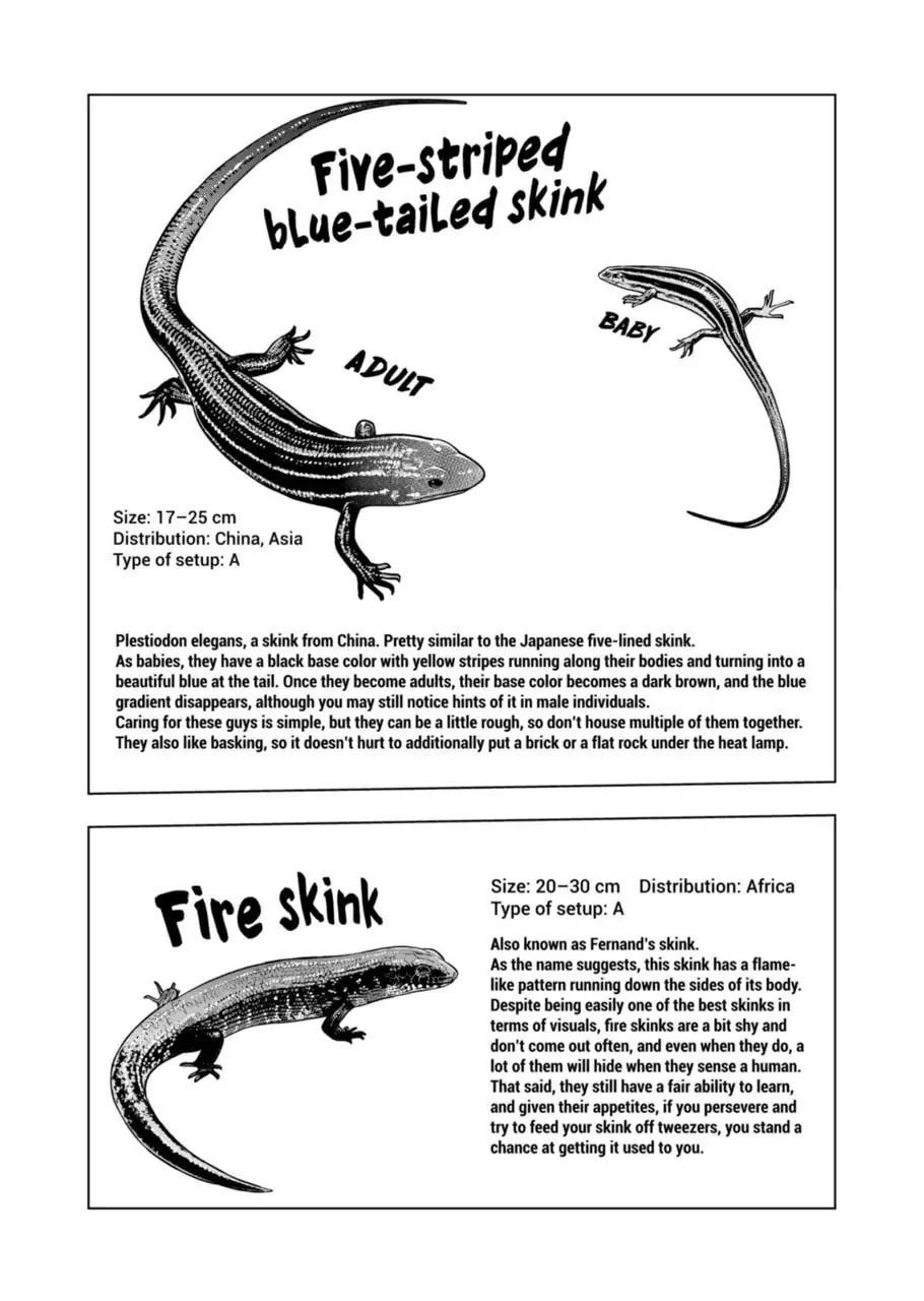 Reptile Secrets Chapter 120 page 13 - 