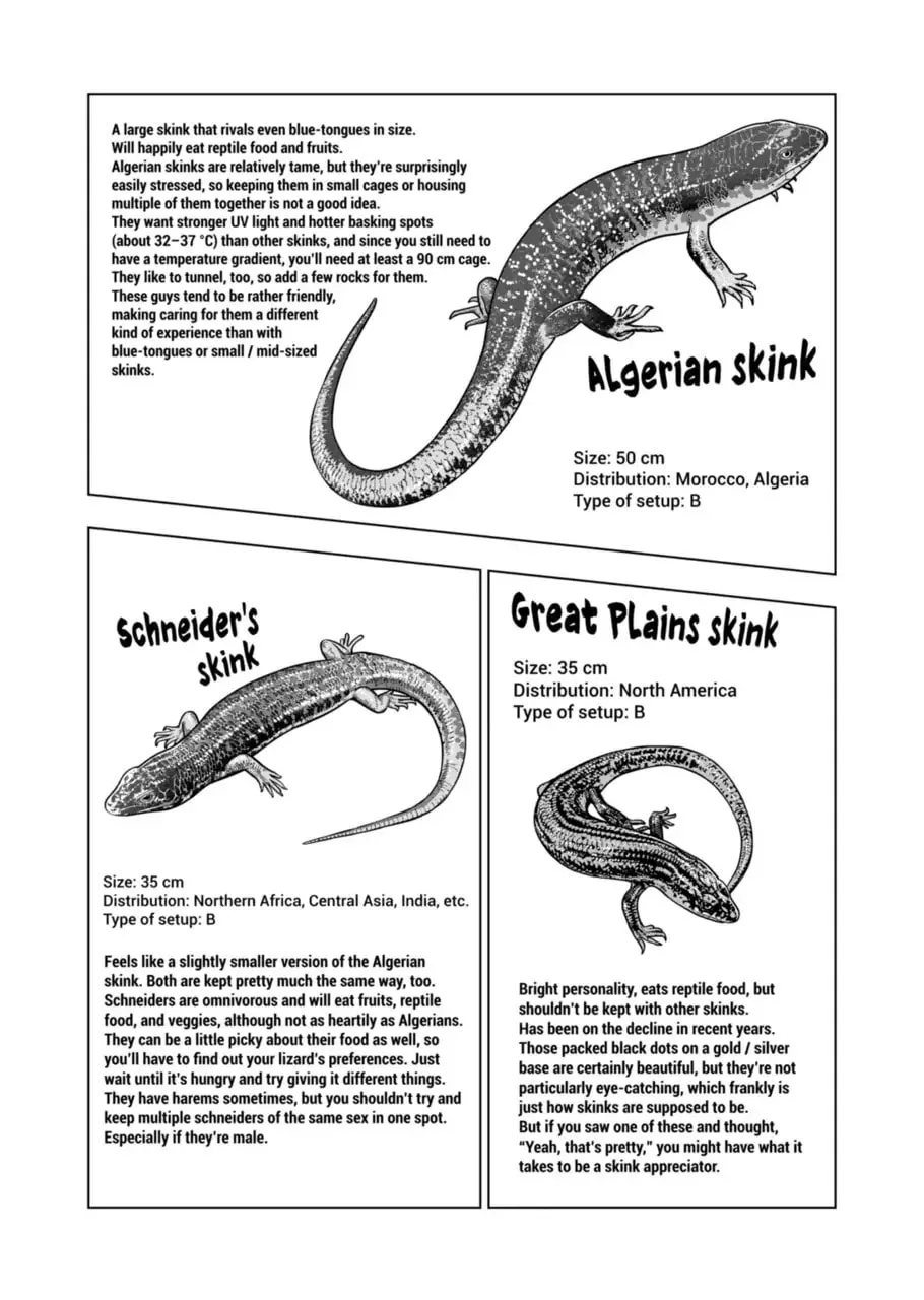 Reptile Secrets Chapter 120 page 14 - 