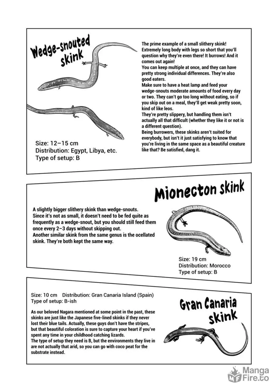 Reptile Secrets Chapter 120 page 15 - 