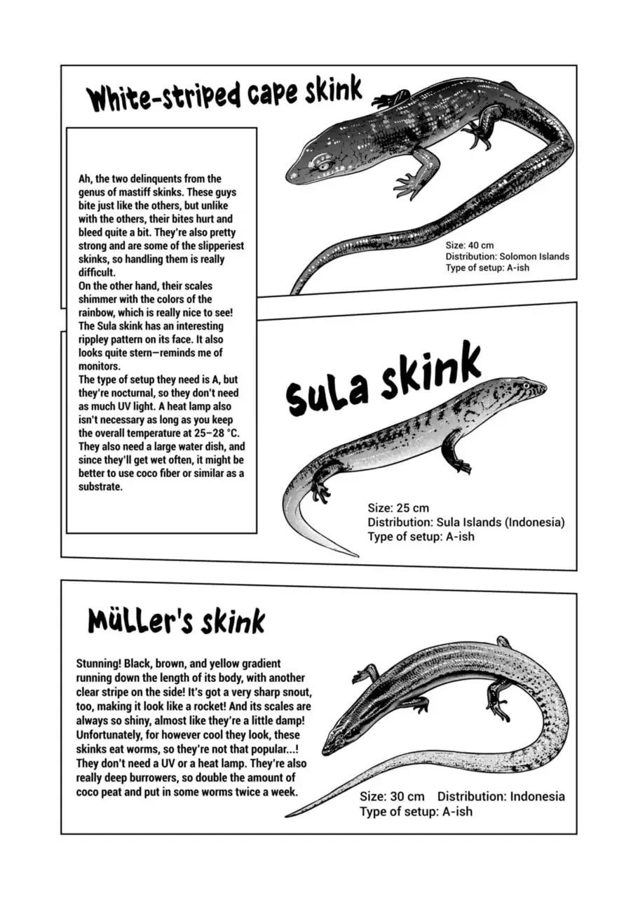 Reptile Secrets Chapter 120 page 16 - 