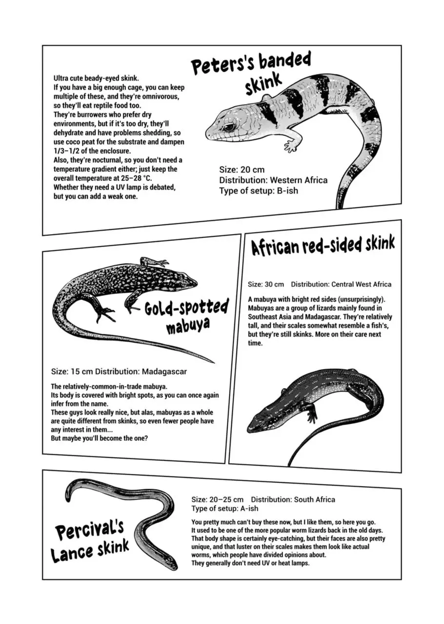 Reptile Secrets Chapter 120 page 17 - 
