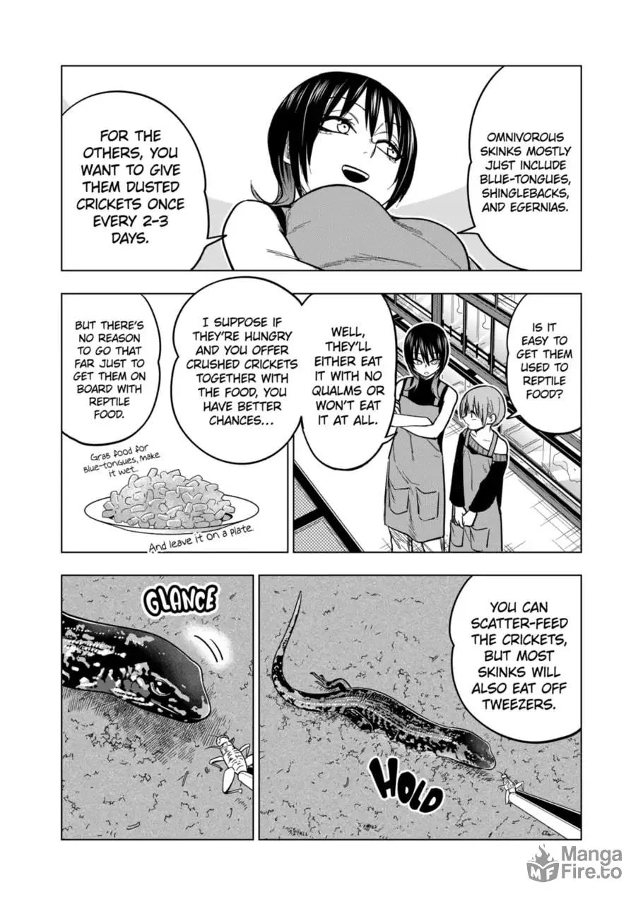 Reptile Secrets Chapter 120 page 18 - 
